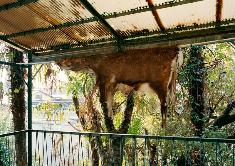 © Miyuki Yamanaka - Image from the A Thing (Part.1 and Part.2) photography project