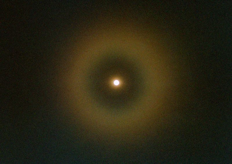 © Miyuki Yamanaka -  Vision II –“Vision – I call it life. Vision – I call it you.” Itsuro Shimoda