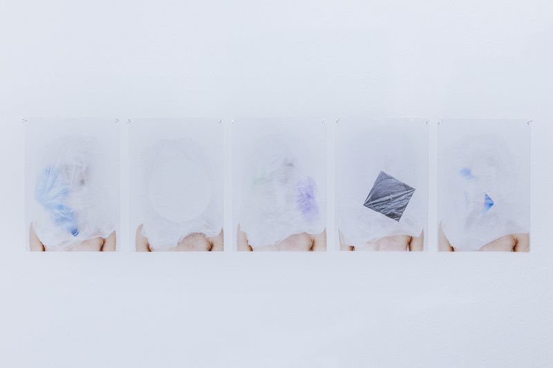 © MC DUEPUNTOOTTO - 2019 Milan (Italy), Portrait with plastic waste for domestic use - printing on acetate sheet