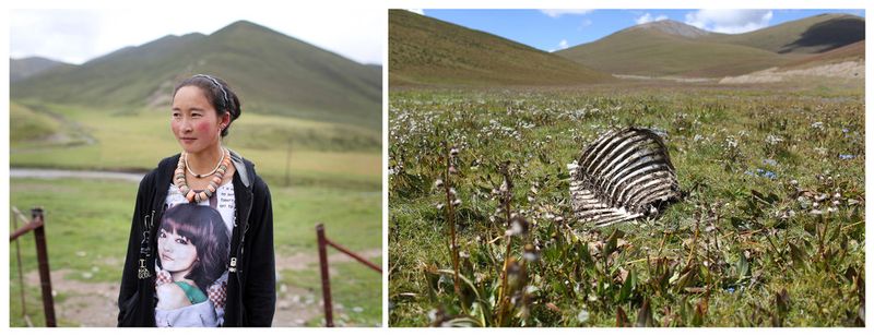© Sean Gallagher - Image from the The Last Nomads of the Tibetan Plateau photography project