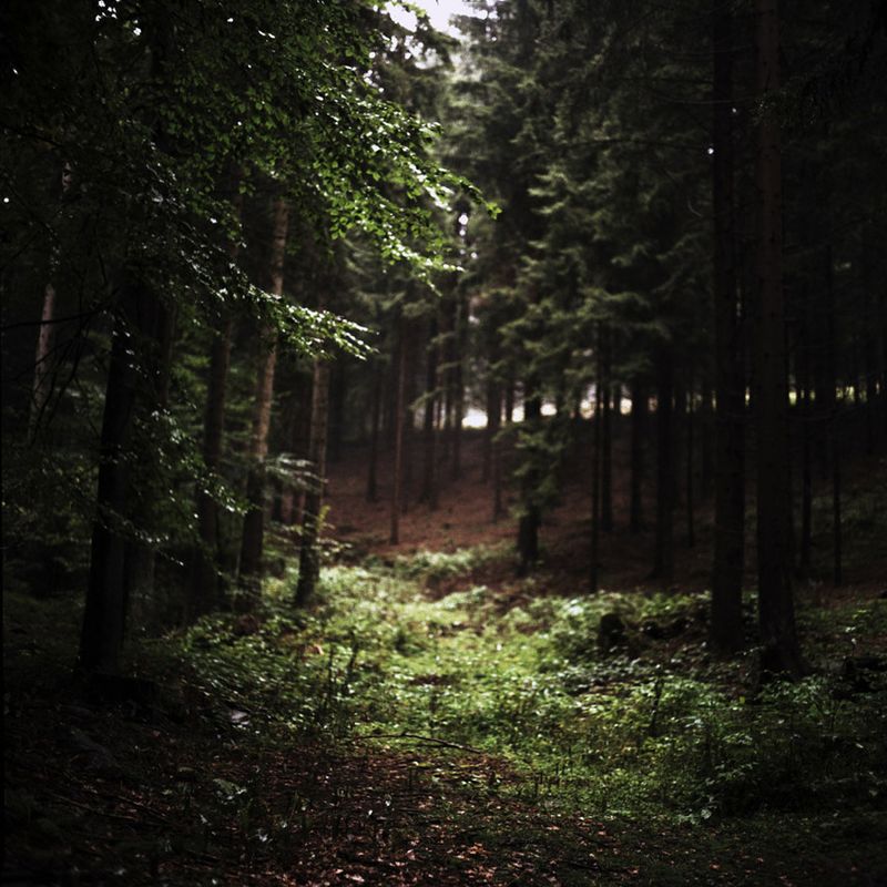 © Evi Lemberger - Picture from the series "Between then and now"