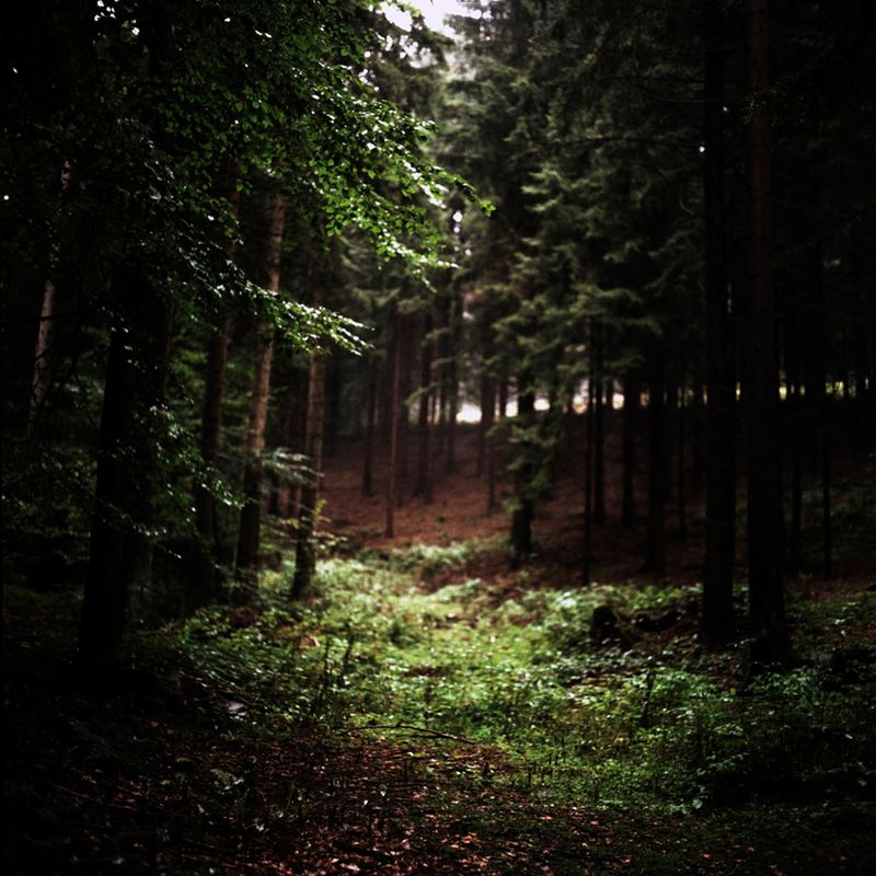 © Evi Lemberger - Picture from the series "Between then and now"