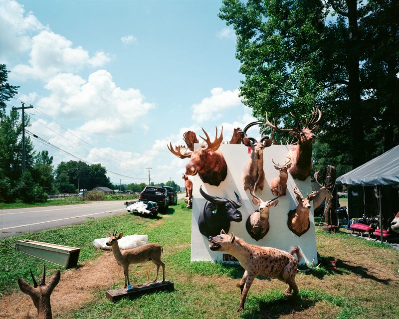 © Leonard Suryajaya - Image from the Land of the Flea photography project