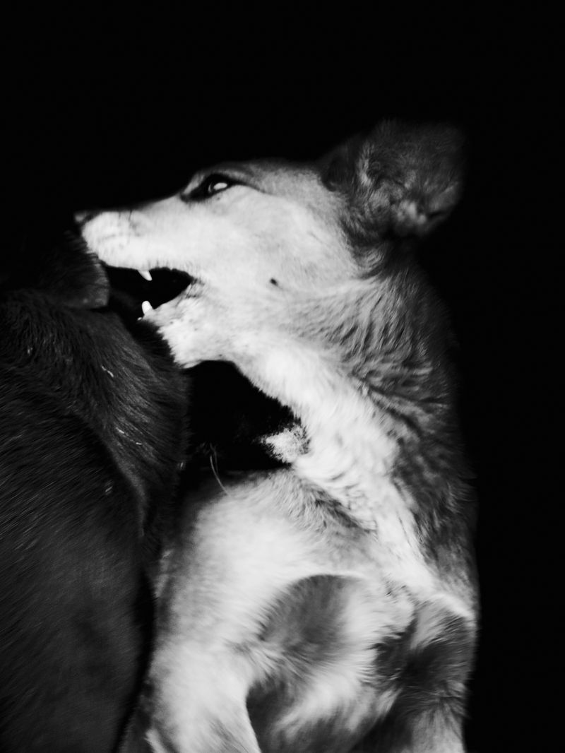 © David Alejandro - Image from the Ausencia del Héroe /Absence of the Hero photography project