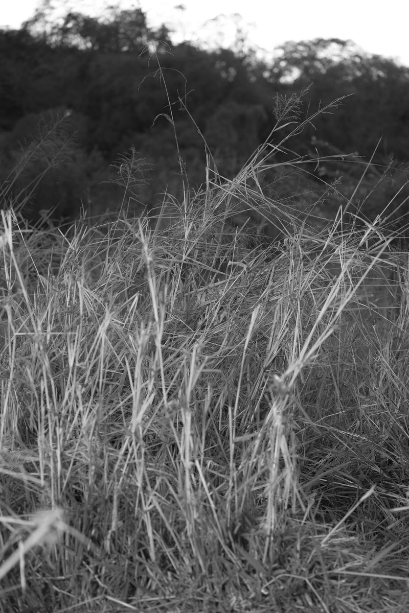 © Valeria Arendar - Image from the The bastard son of the Revolution photography project