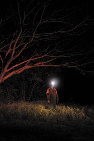 Another Earth, the same