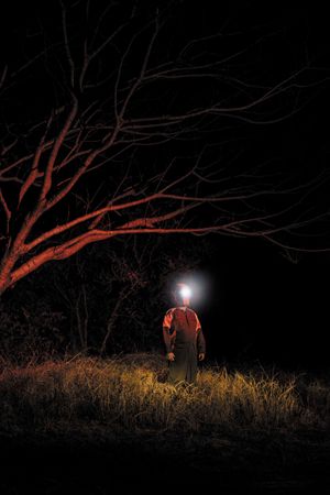 Another Earth, the same