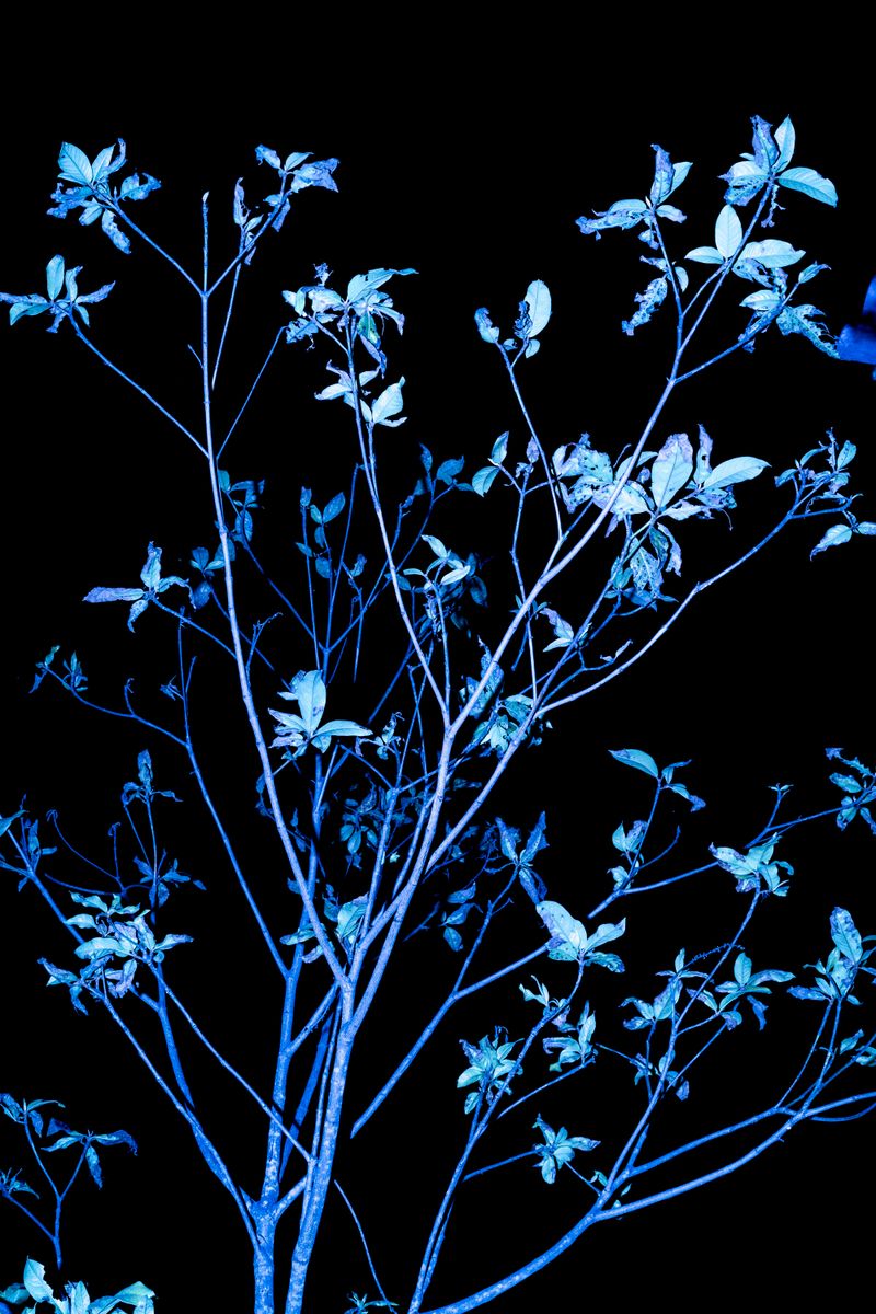 © Valeria Arendar - Image from the Two Times Mary photography project