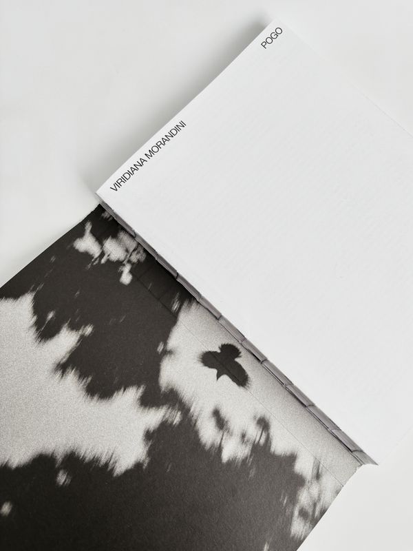 © Viridiana Morandini - Image from the Pogo photography project