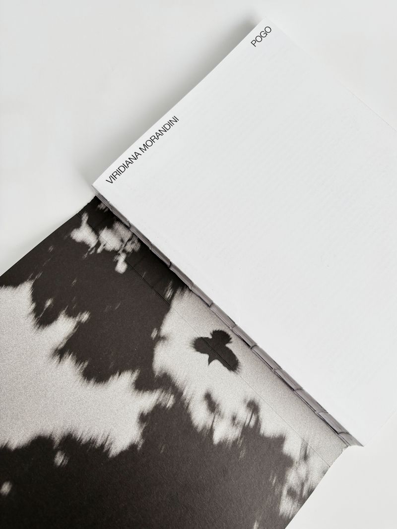 © Viridiana Morandini - Image from the POGO photography project