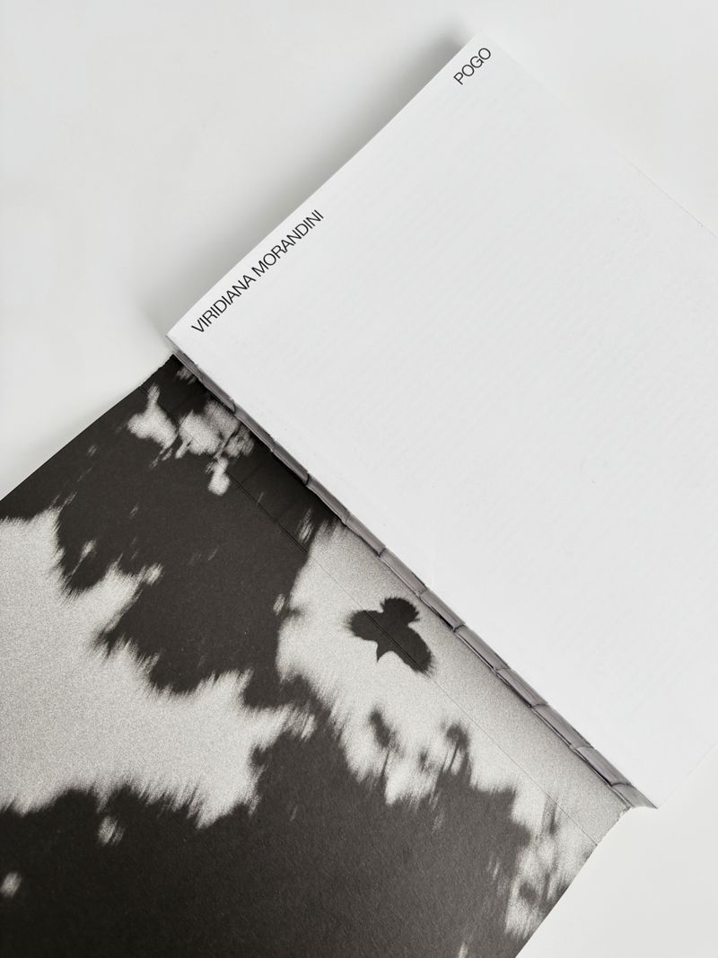 © Viridiana Morandini - Image from the Pogo photography project