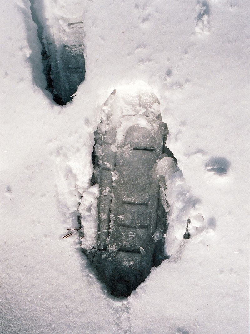 © Viridiana Morandini - Image from the POGO photography project