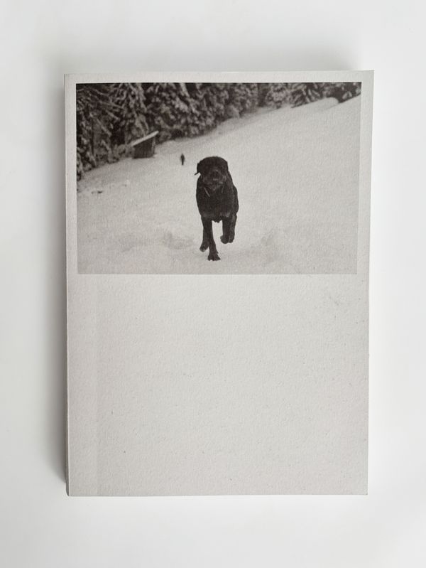 © Viridiana Morandini - Image from the Pogo photography project