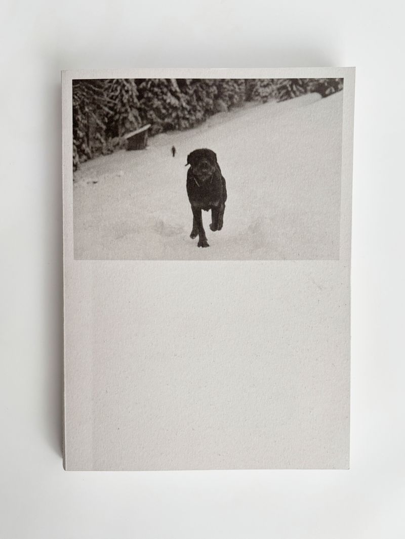 © Viridiana Morandini - Image from the POGO photography project