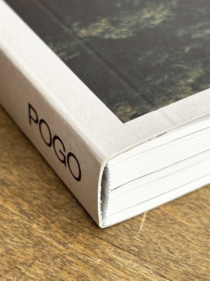 © Viridiana Morandini - Image from the Pogo photography project