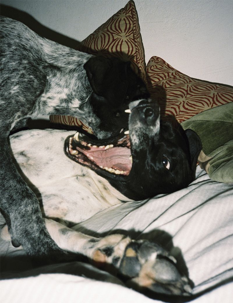 © Viridiana Morandini - Image from the POGO photography project