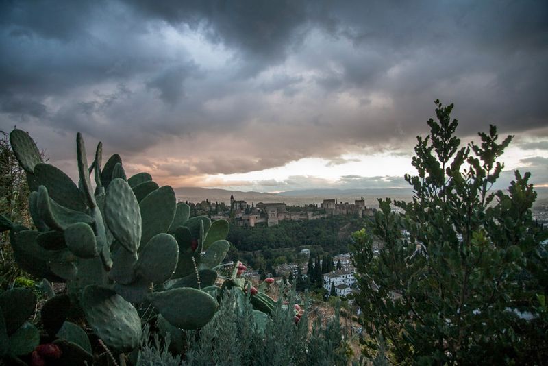 © Chiara Ferronato - The Alhambra as seen from the Sacromonte, a neighbourhood traditionally inhabited by the local gypsies.