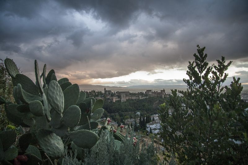 © Chiara Ferronato - The Alhambra as seen from the Sacromonte, a neighbourhood traditionally inhabited by the local gypsies.