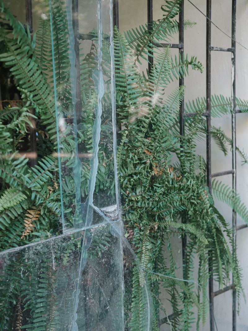 © Christopher Berwing - Image from the Between photography project