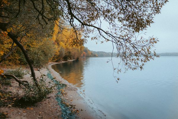 © Urtė Baltrušytė - Autumn