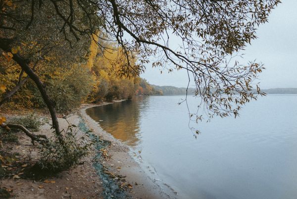 © Urtė Baltrušytė - Autumn