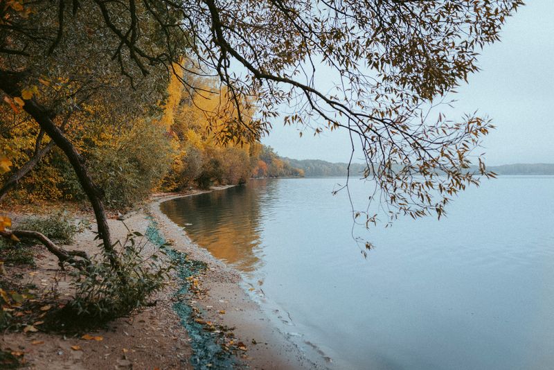 © Urtė Baltrušytė - Autumn