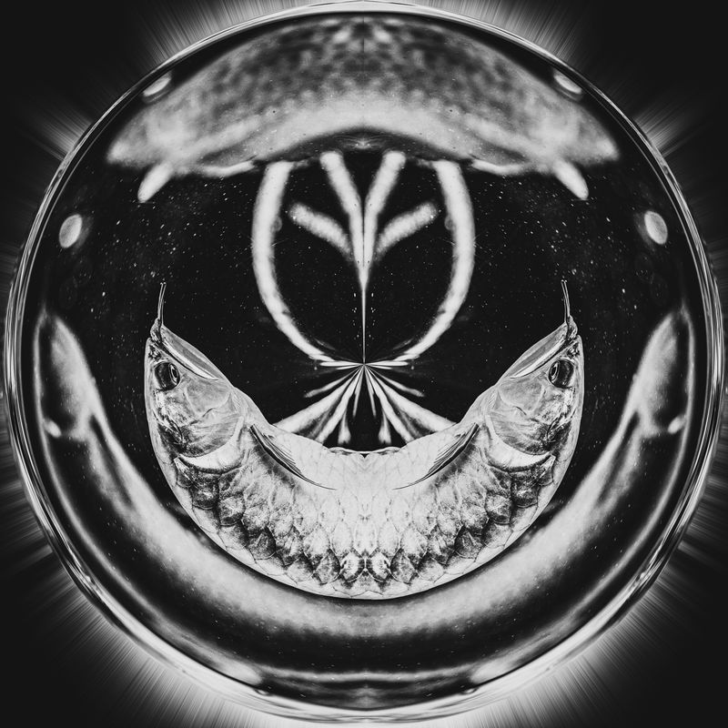 © Urtė Baltrušytė - Life cycle