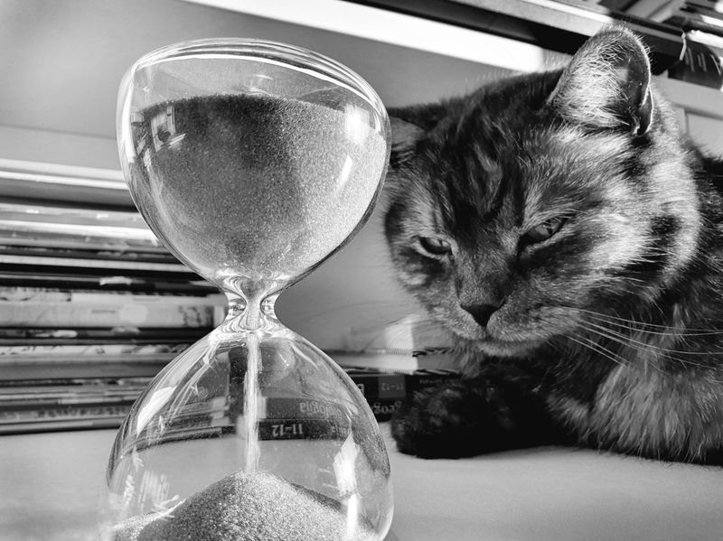 © Urtė Baltrušytė - Giliukas. Lazy to study.