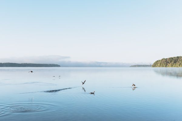 © Urtė Baltrušytė - Blue mists