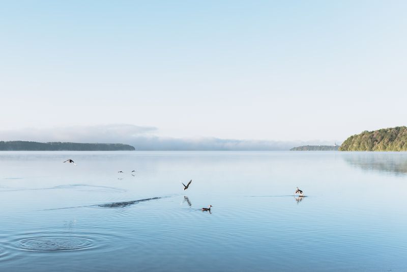 © Urtė Baltrušytė - Blue mists