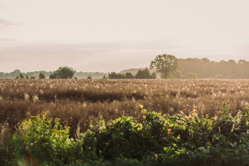 © Urtė Baltrušytė - Spider web sea, Sweden
