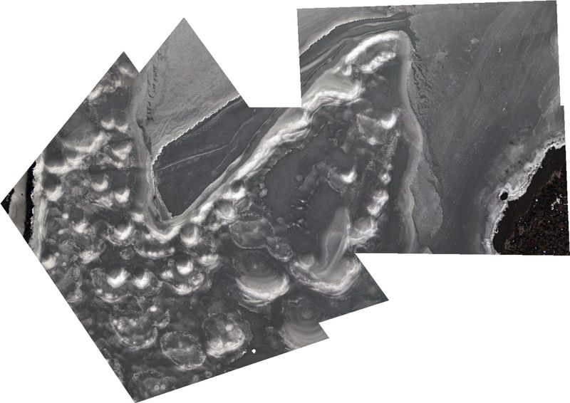 © Yue Hu - 39° 4' 55.719" N, 117° 49' 20.418" E