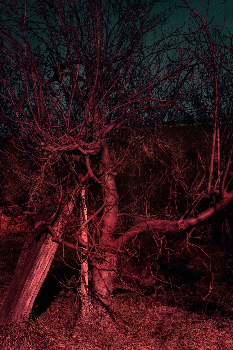 © Valentina Casalini - Image from the Some of these days, You'll miss me honey photography project