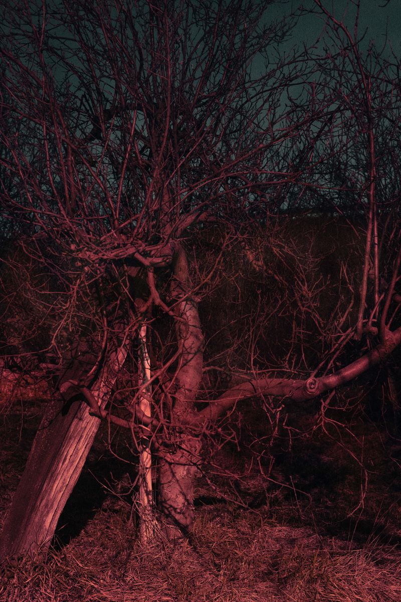 © Valentina Casalini - Image from the Some of these days, You'll miss me honey photography project