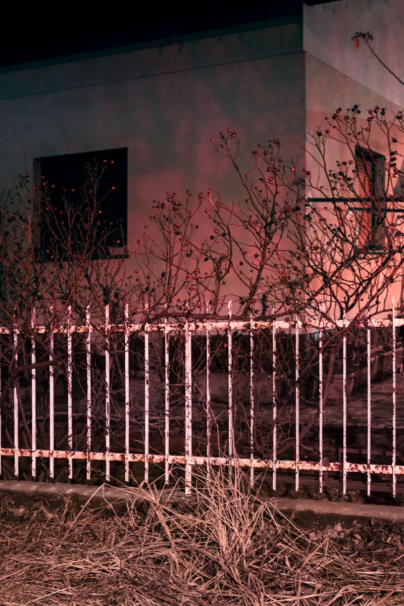 © Valentina Casalini - Image from the Some of these days, You'll miss me honey photography project