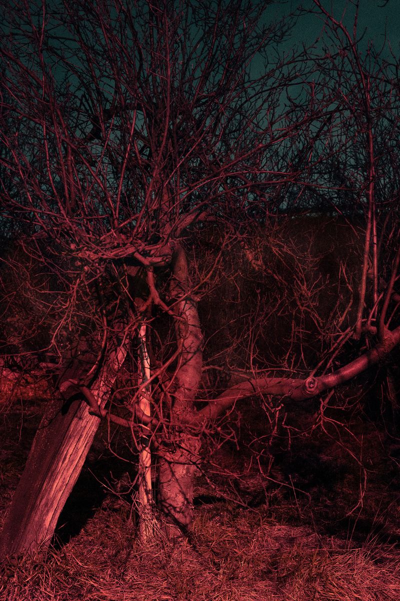 © Valentina Casalini - Image from the Some of these days, you'll miss me honey photography project