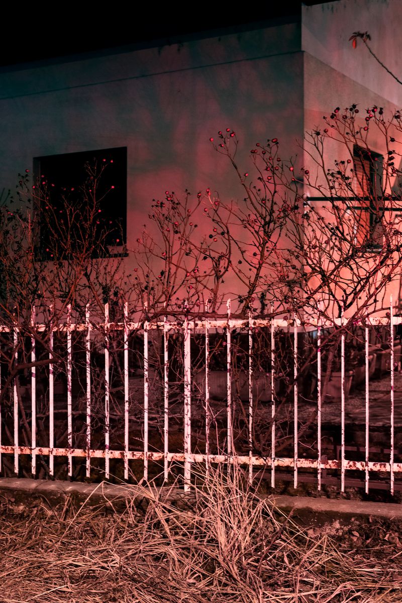 © Valentina Casalini - Image from the Some of these days, you'll miss me honey photography project