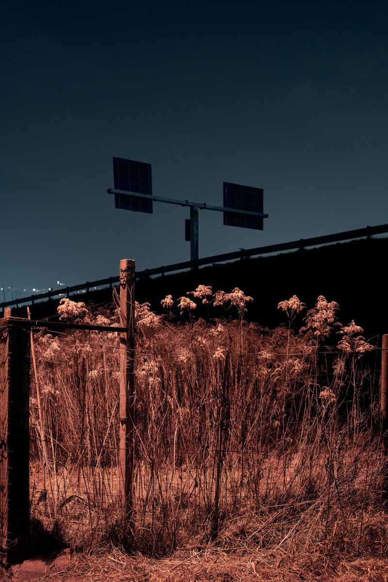 © Valentina Casalini - Image from the Some of these days, you'll miss me honey photography project