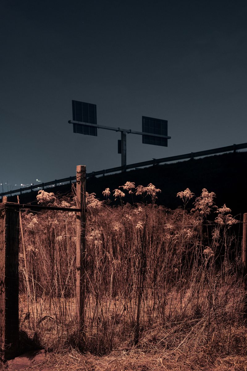 © Valentina Casalini - Image from the Some of these days, you'll miss me honey photography project