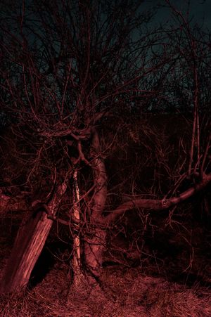 Some of these days, you'll miss me honey