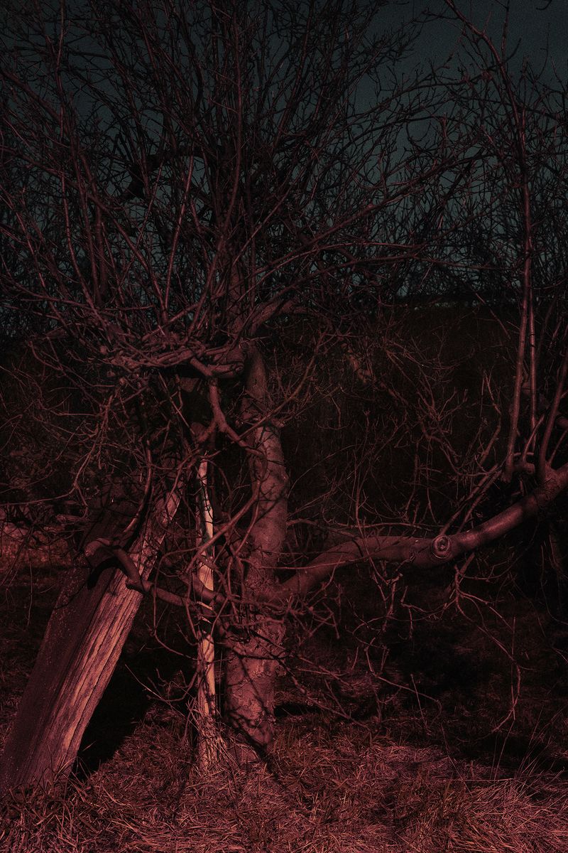 © Valentina Casalini - Image from the Some of these days, you'll miss me honey photography project