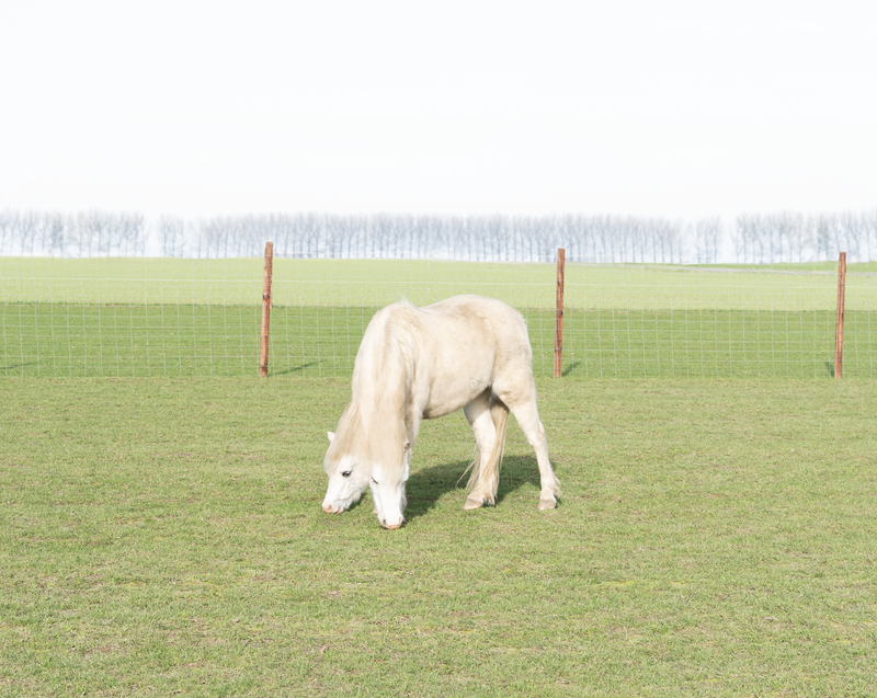© Lina Van Hulle - Image from the Second Sun photography project