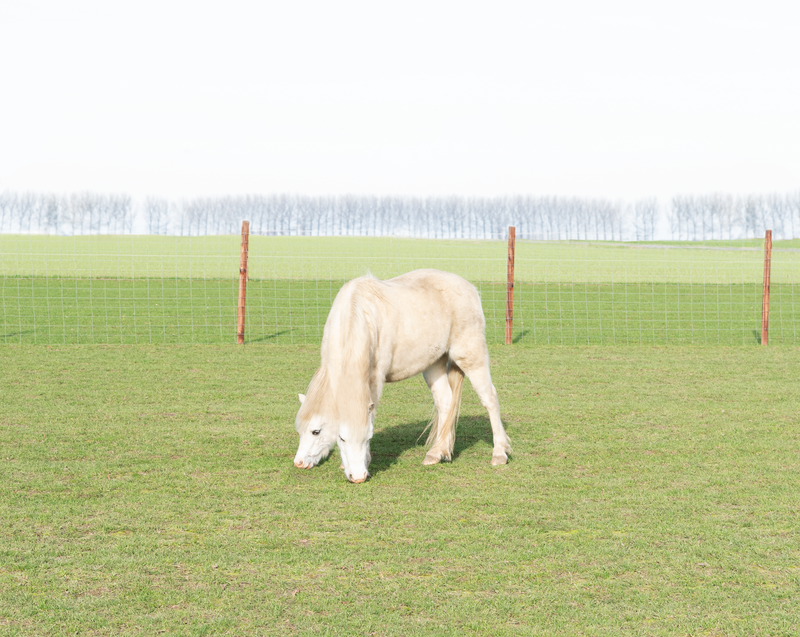 © Lina Van Hulle - Image from the Second Sun photography project