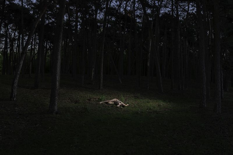 © Lina Van Hulle - Image from the Second Sun photography project