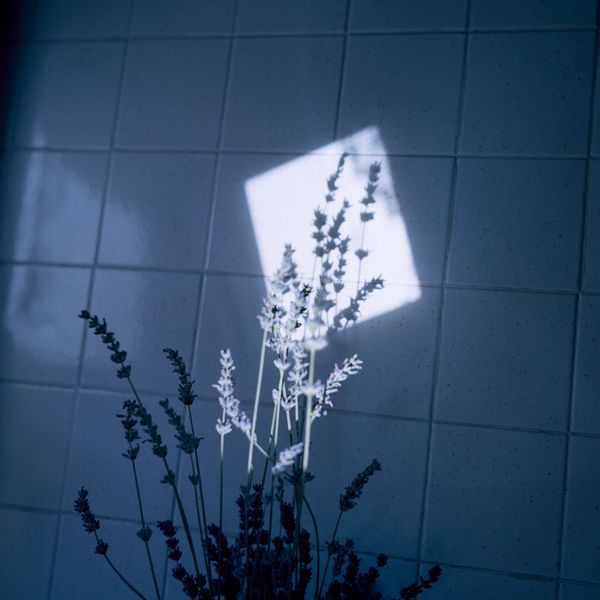 © camilla piana - Image from the The roots are oriented towards water photography project