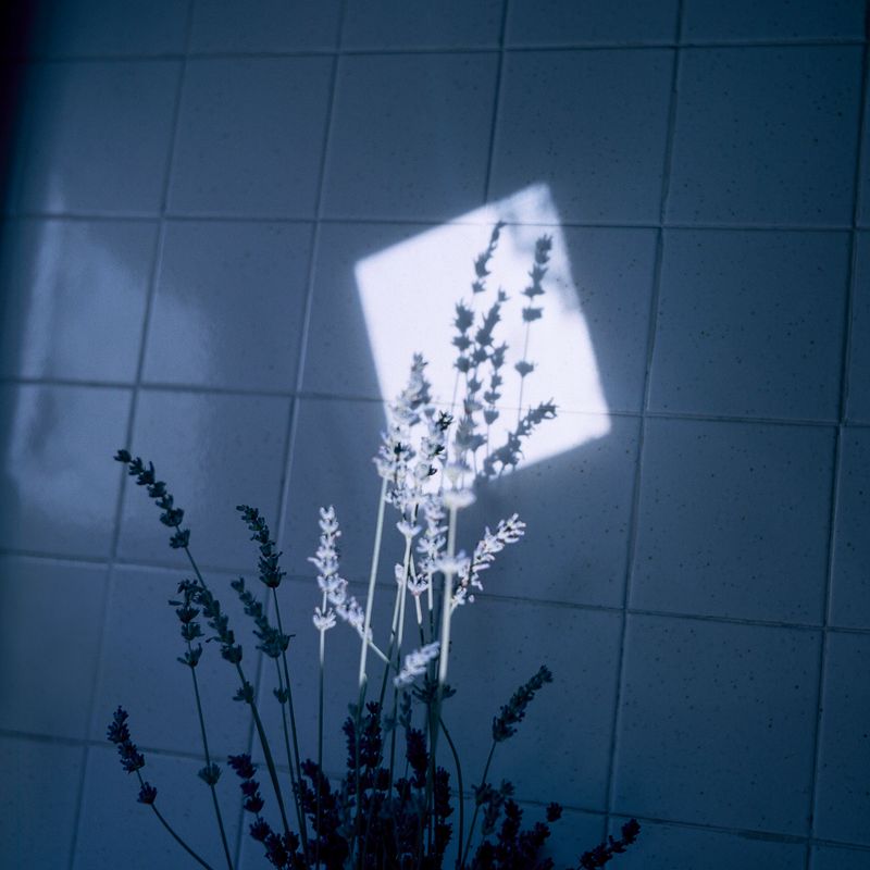 © camilla piana - Image from the The roots are oriented towards water photography project