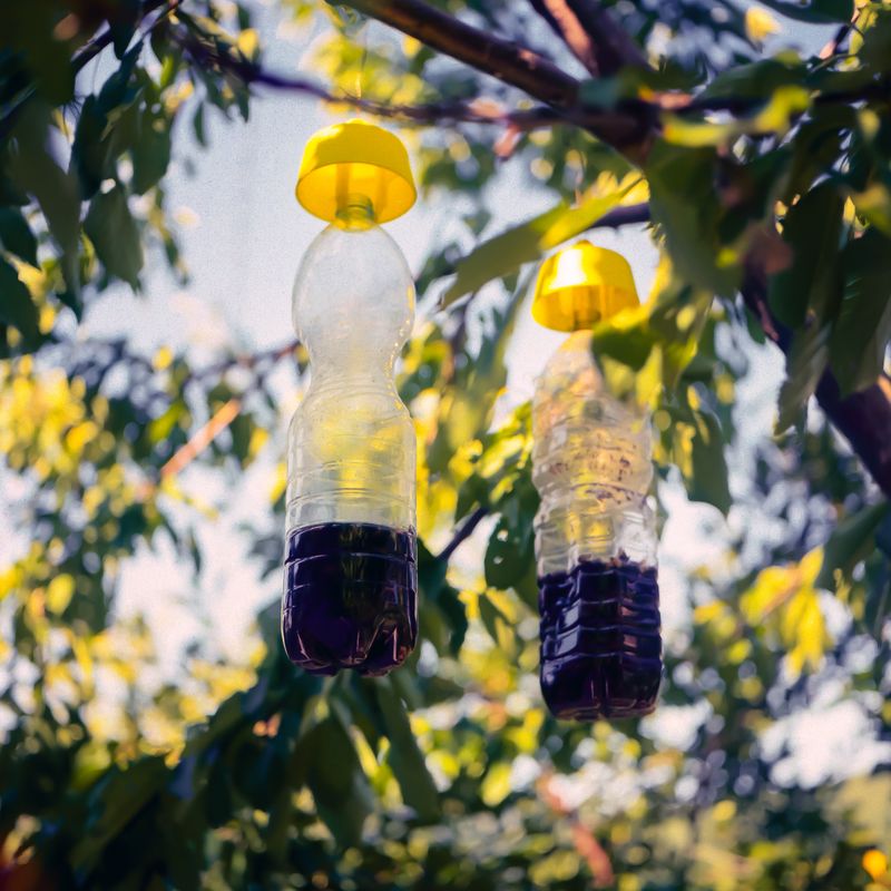 © camilla piana - Image from the The roots are oriented towards water photography project