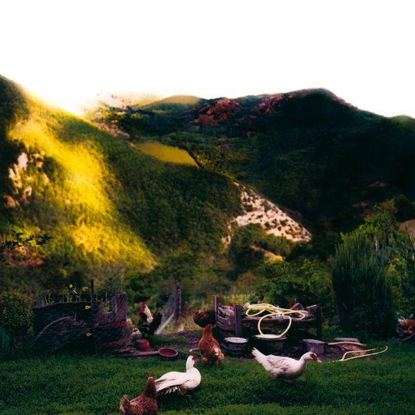 © camilla piana - Image from the The roots are oriented towards water photography project