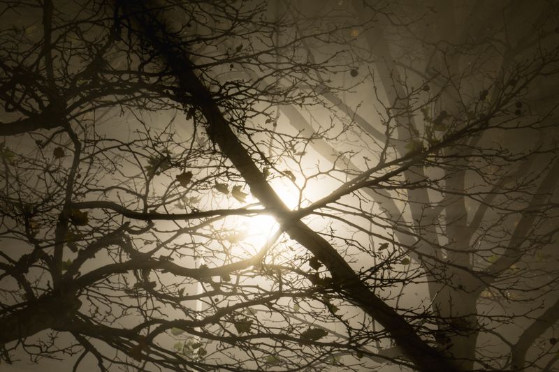 © Jessica Bizzoni - Extending the day