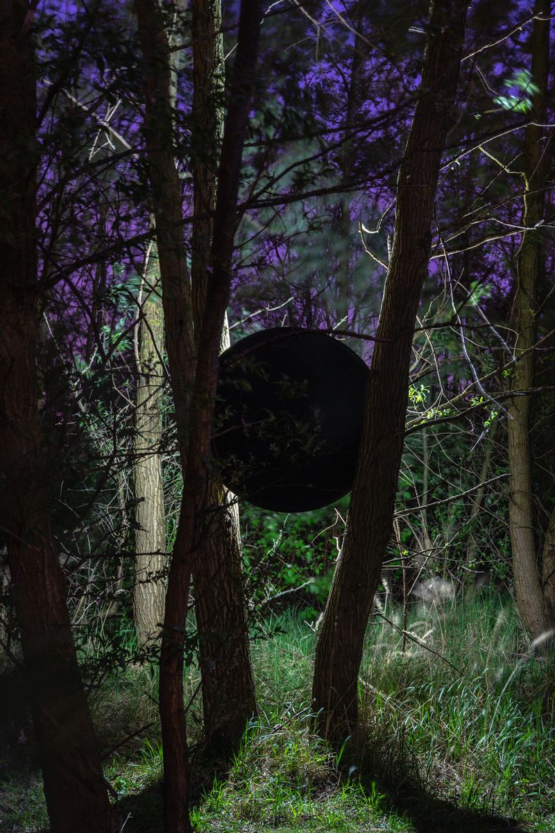 © Jessica Bizzoni - Untitled